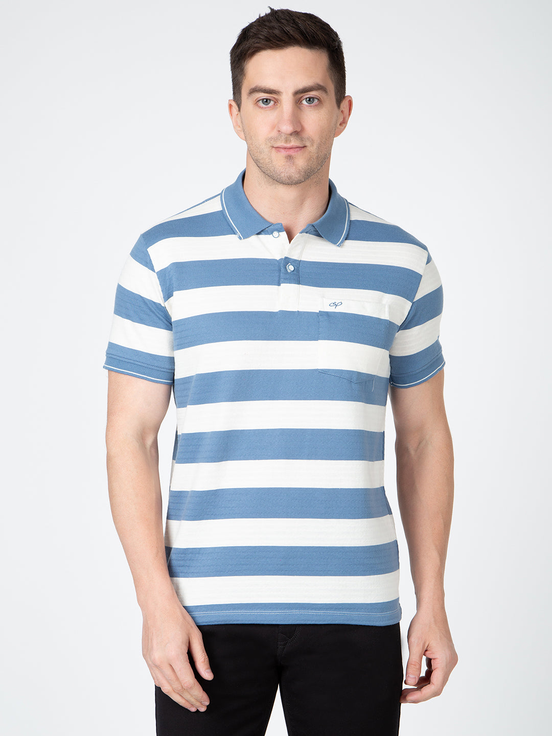 Men Blue Polo Jaquart Stripe T-Shirt