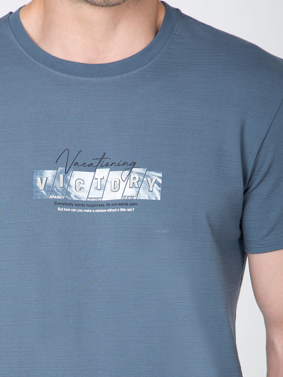 Men Blue Round Neck T-Shirt