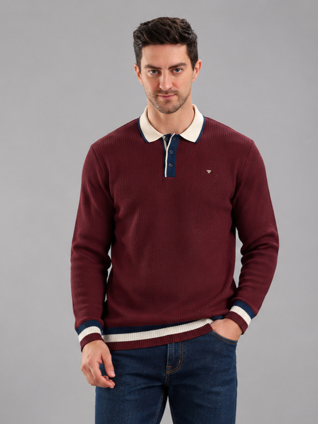 Men Premium Solid Full Sleevs Polo T-Shirt