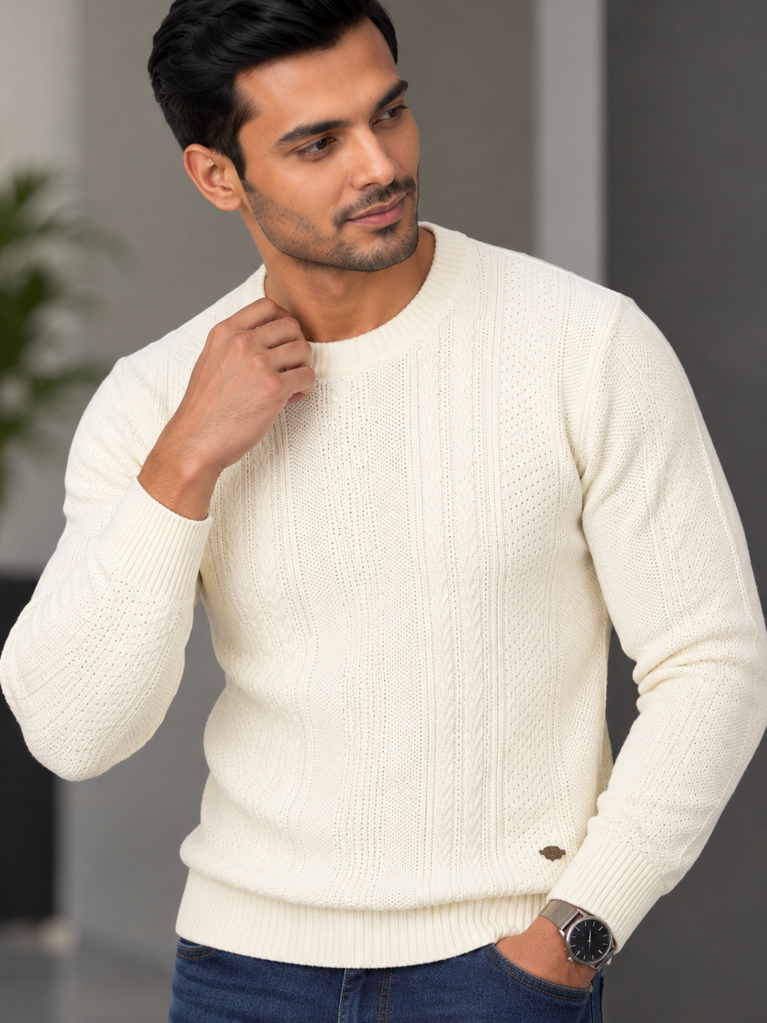 Men Solid Round Neck Full Sleeve Sweater