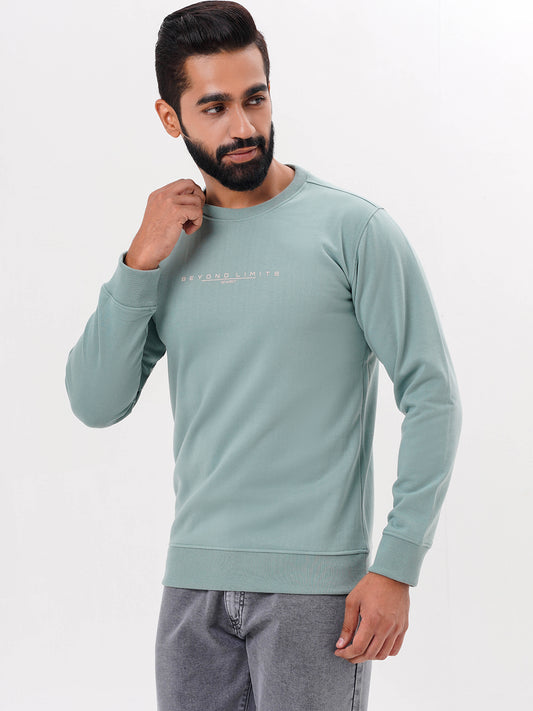 Men's Sea Green Solid  Full Sleeves Sweatshirt