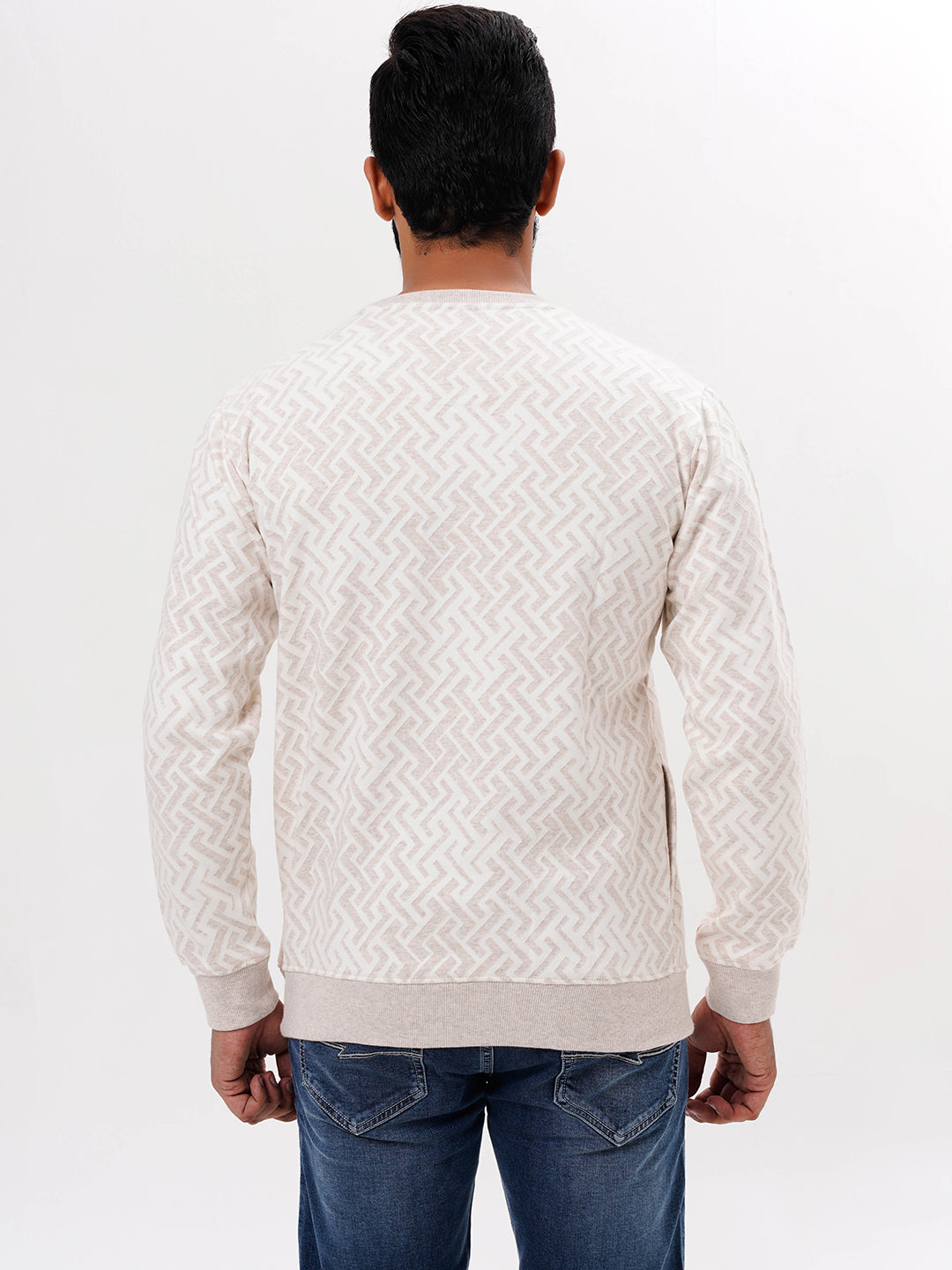 Men's Beige Solid  Full Sleeves Sweatshirt