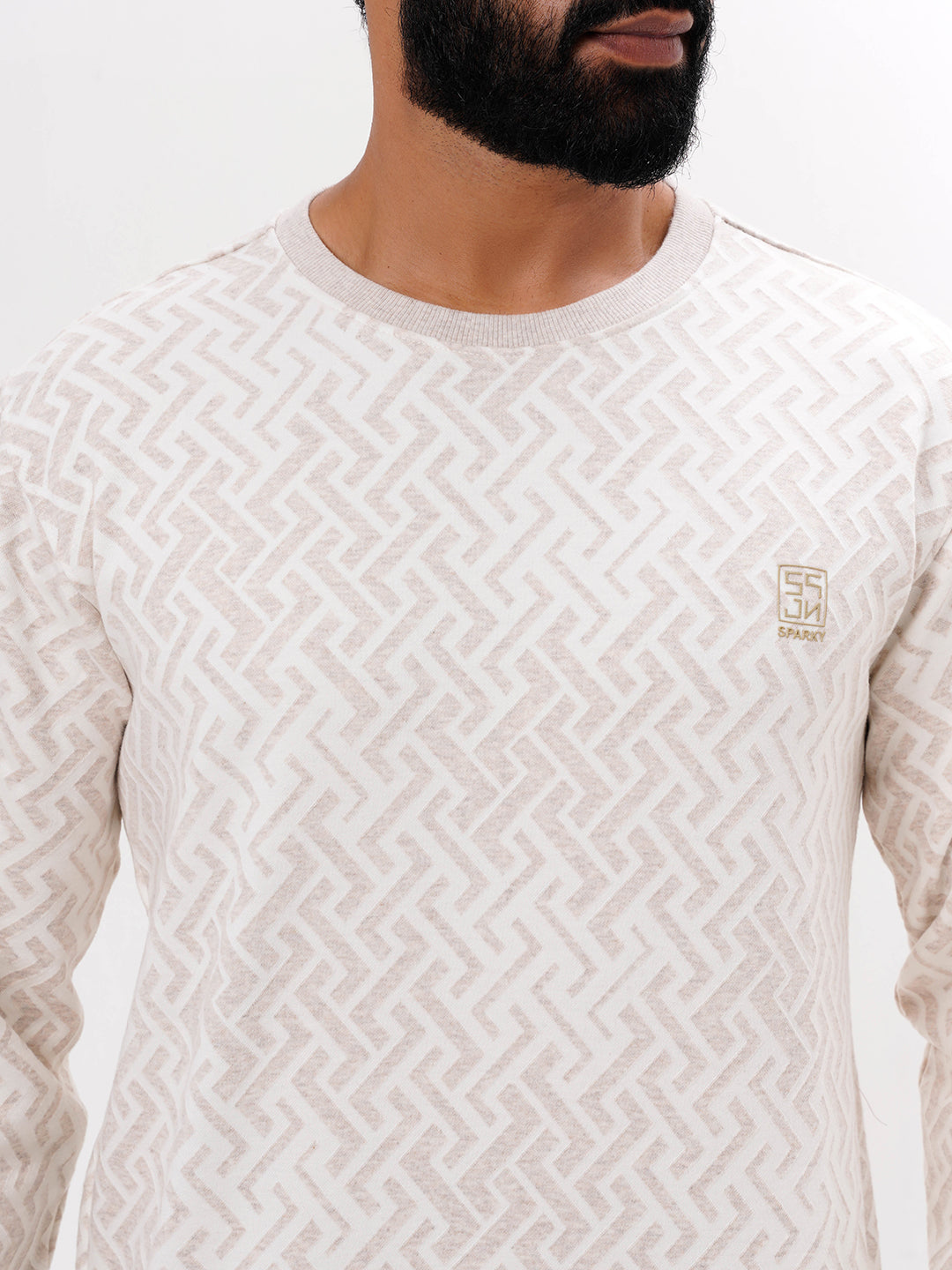 Men's Beige Solid  Full Sleeves Sweatshirt
