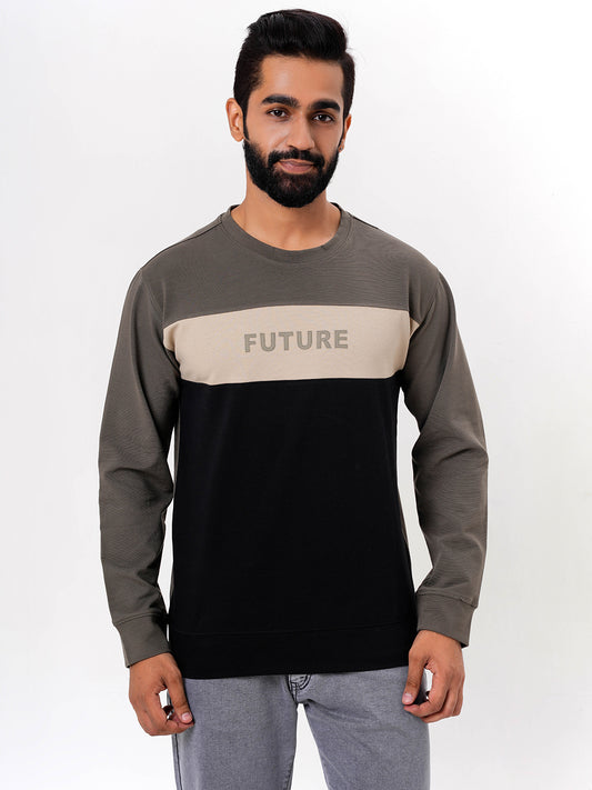 Men's Olive Solid  Full Sleeves Sweatshirt