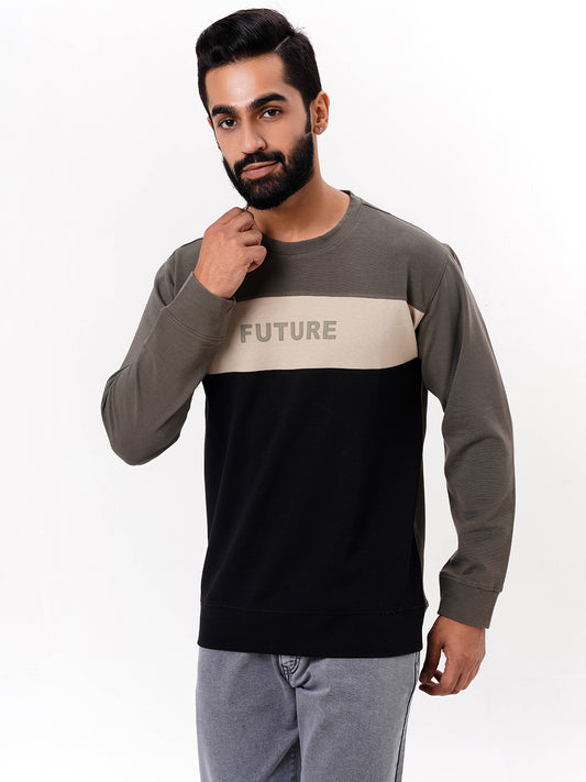 Men's Olive Solid  Full Sleeves Sweatshirt