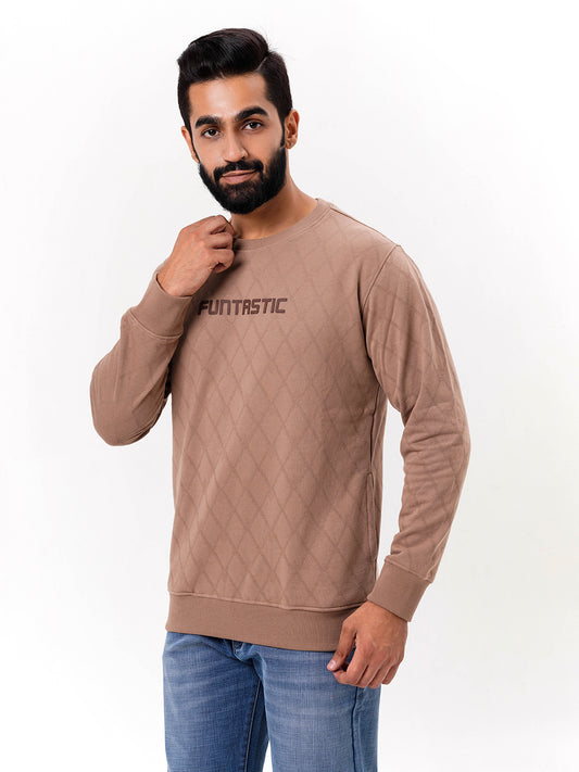 Men's Brown Solid  Full Sleeves Sweatshirt