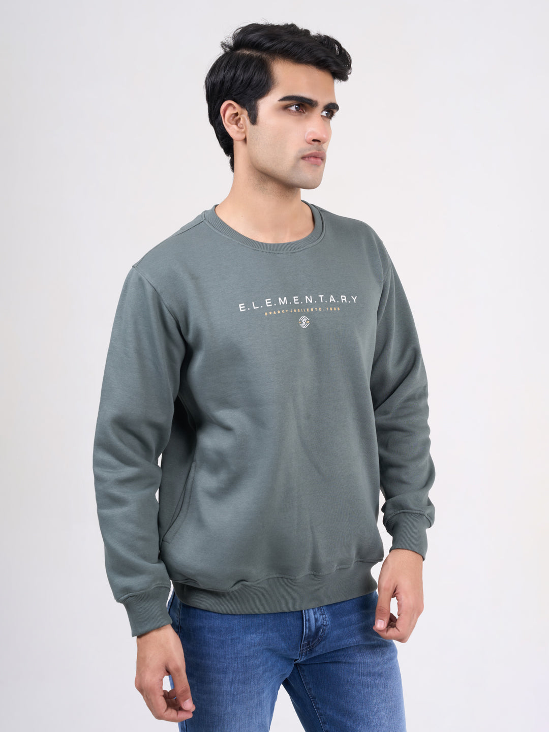Men's Light Green Solid Full Sleeves Sweatshirt