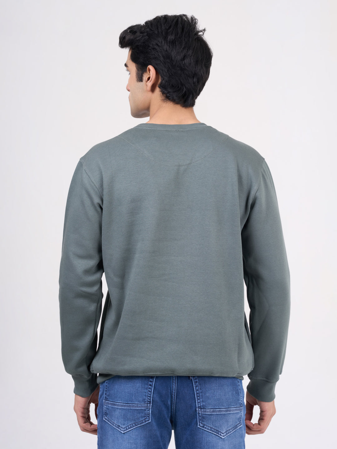 Men's Light Green Solid Full Sleeves Sweatshirt