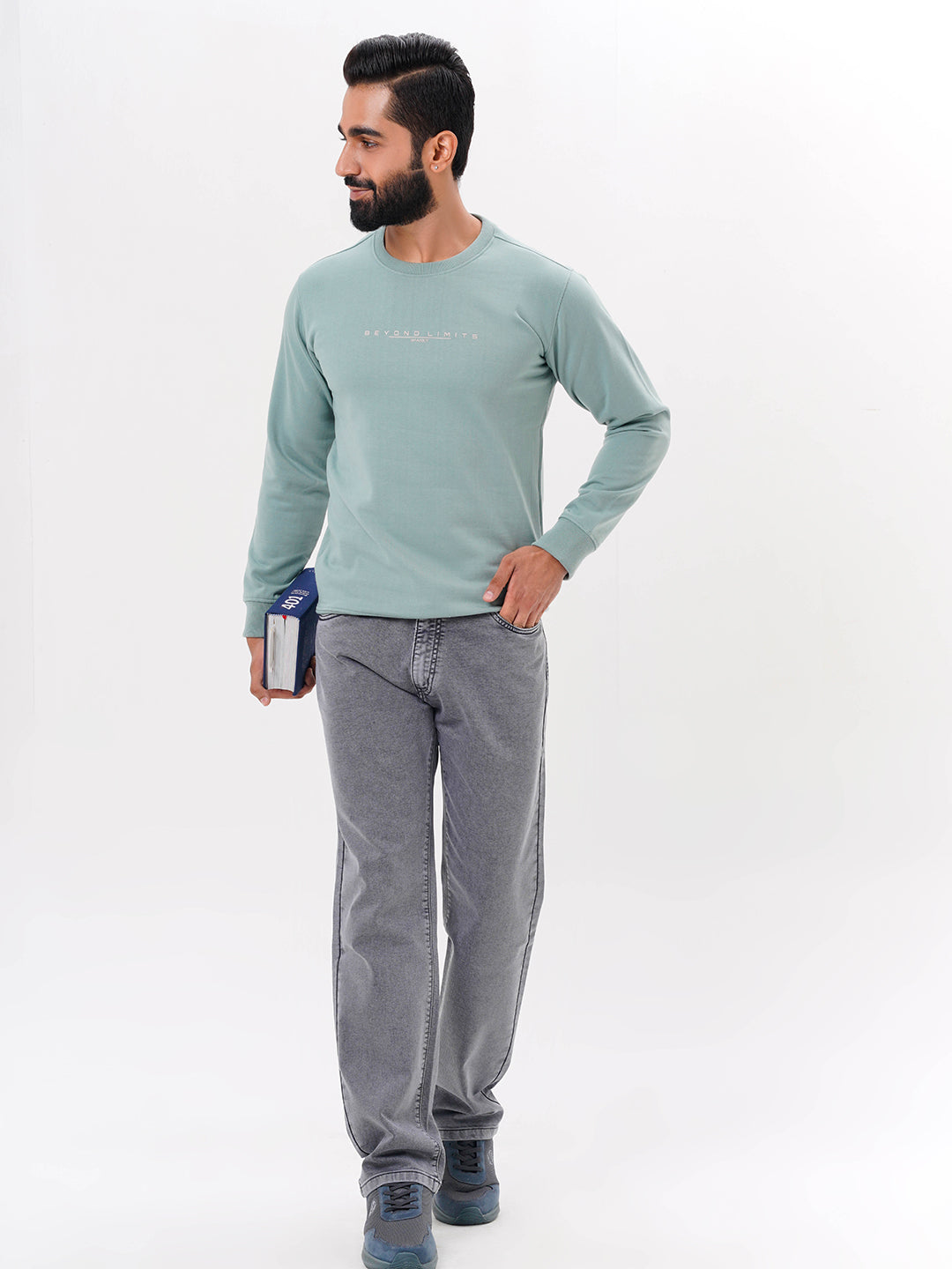 Men's Sea Green Solid  Full Sleeves Sweatshirt