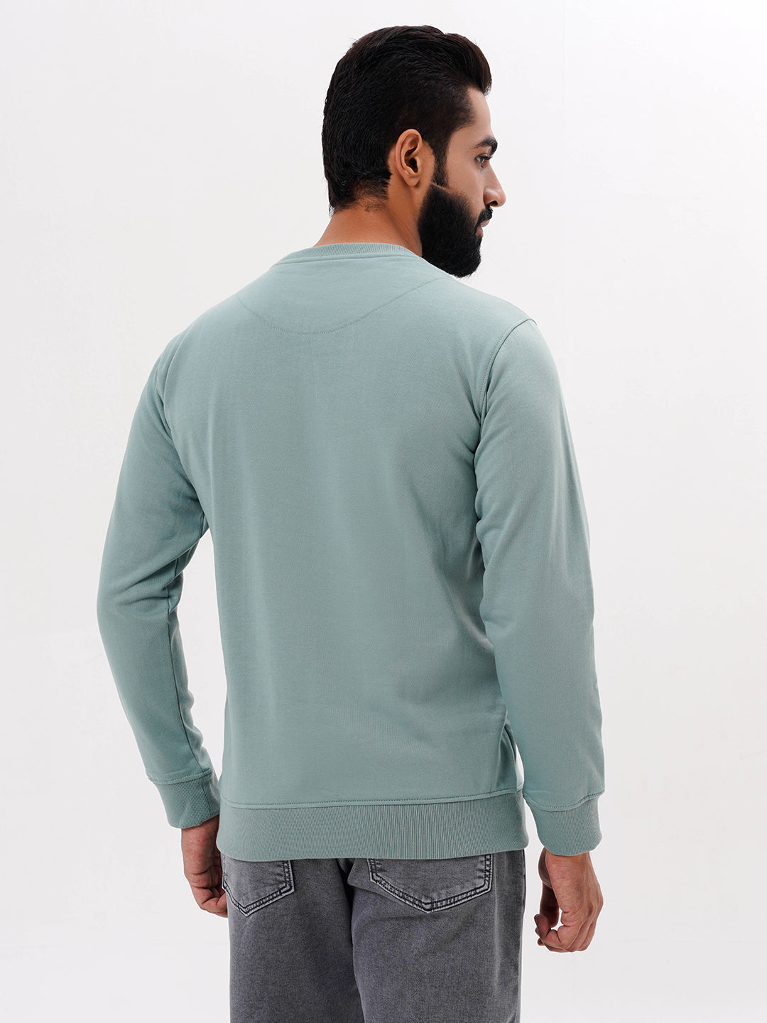 Men's Sea Green Solid  Full Sleeves Sweatshirt
