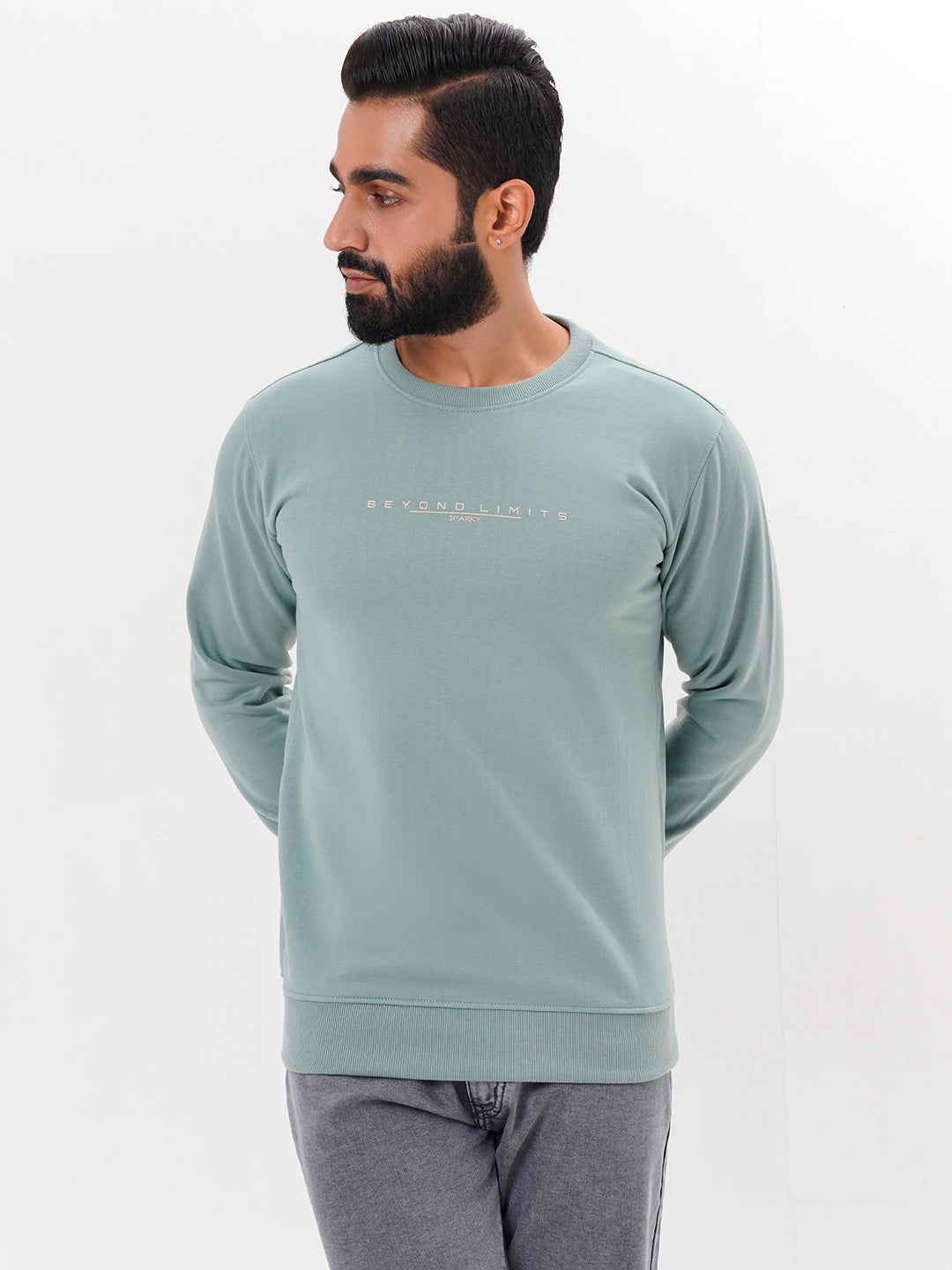 Men's Sea Green Solid  Full Sleeves Sweatshirt