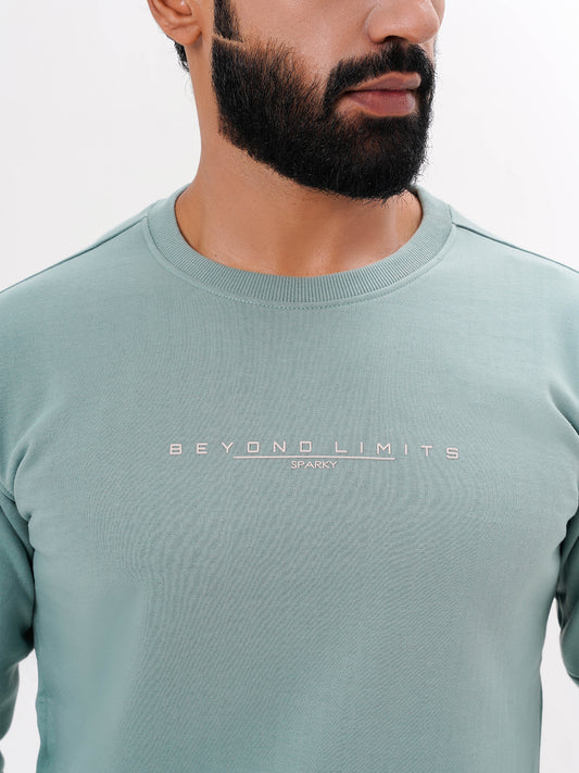 Men's Sea Green Solid  Full Sleeves Sweatshirt